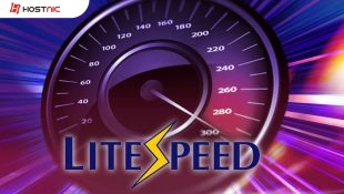 Cara Setting Plugin LiteSpeed Cache Pada WordPress