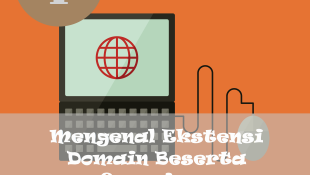 Ekstensi Domain