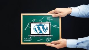 Fitur Pada Cms WordPress