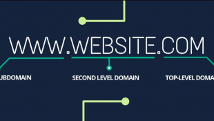 Identifikasi Pada Second Level Domain Untuk Sebuah Website