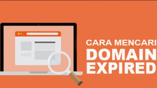 Rahasia Tersembunyi: Temukan Cara Jitu Mencari Domain Expired yang Jarang Diketahui!