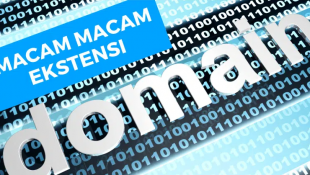 Macam-Macam Ekstensi Domain: Jenis-Jenis Ekstensi Domain yang Tersedia