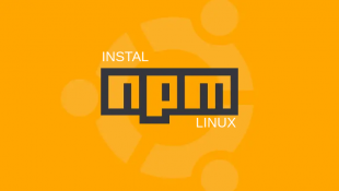 Install npm Linux: Panduan Instalasi npm di Sistem Operasi Linux